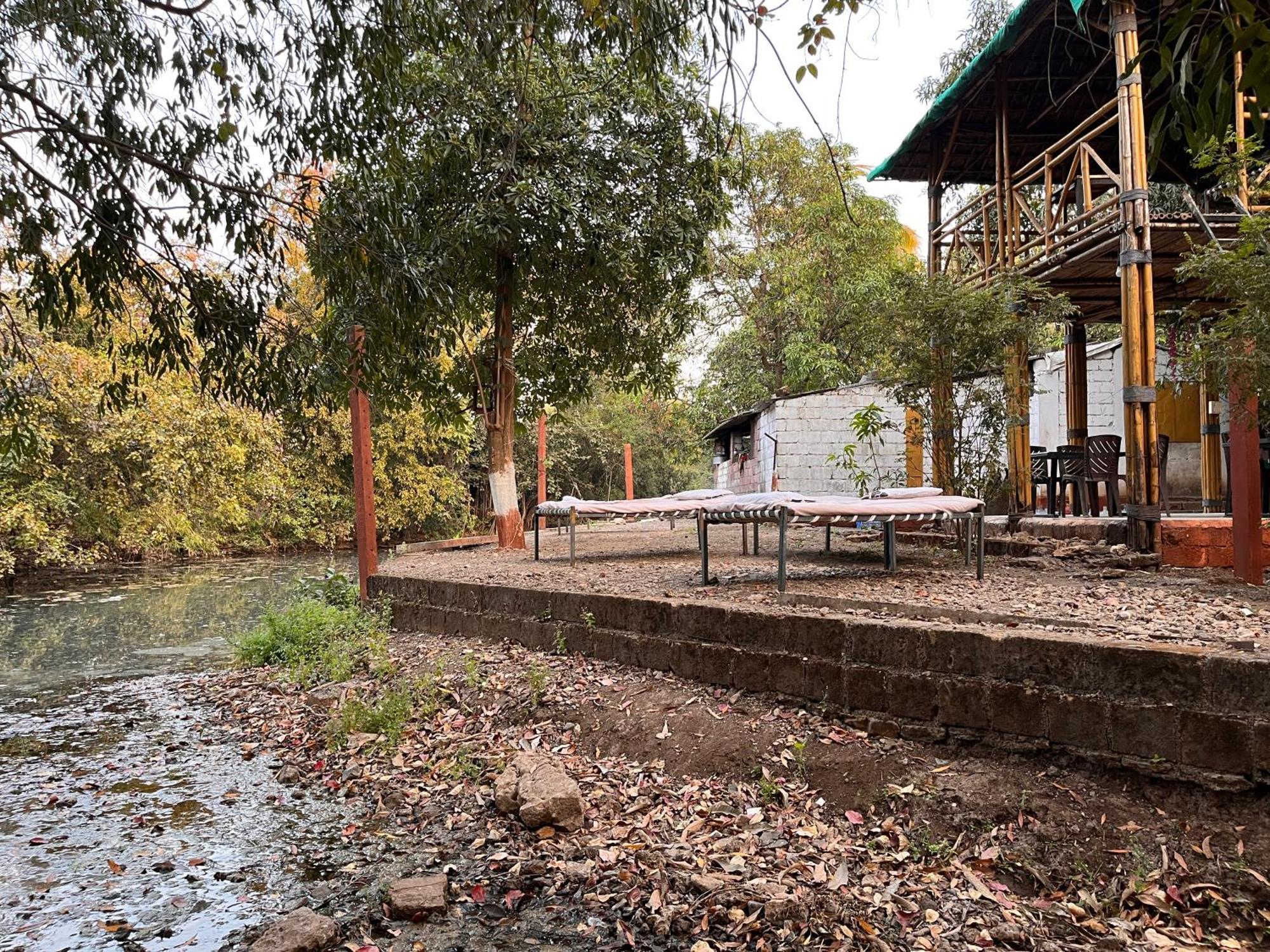 Brook Ville Sasan Gir Zewnętrze zdjęcie