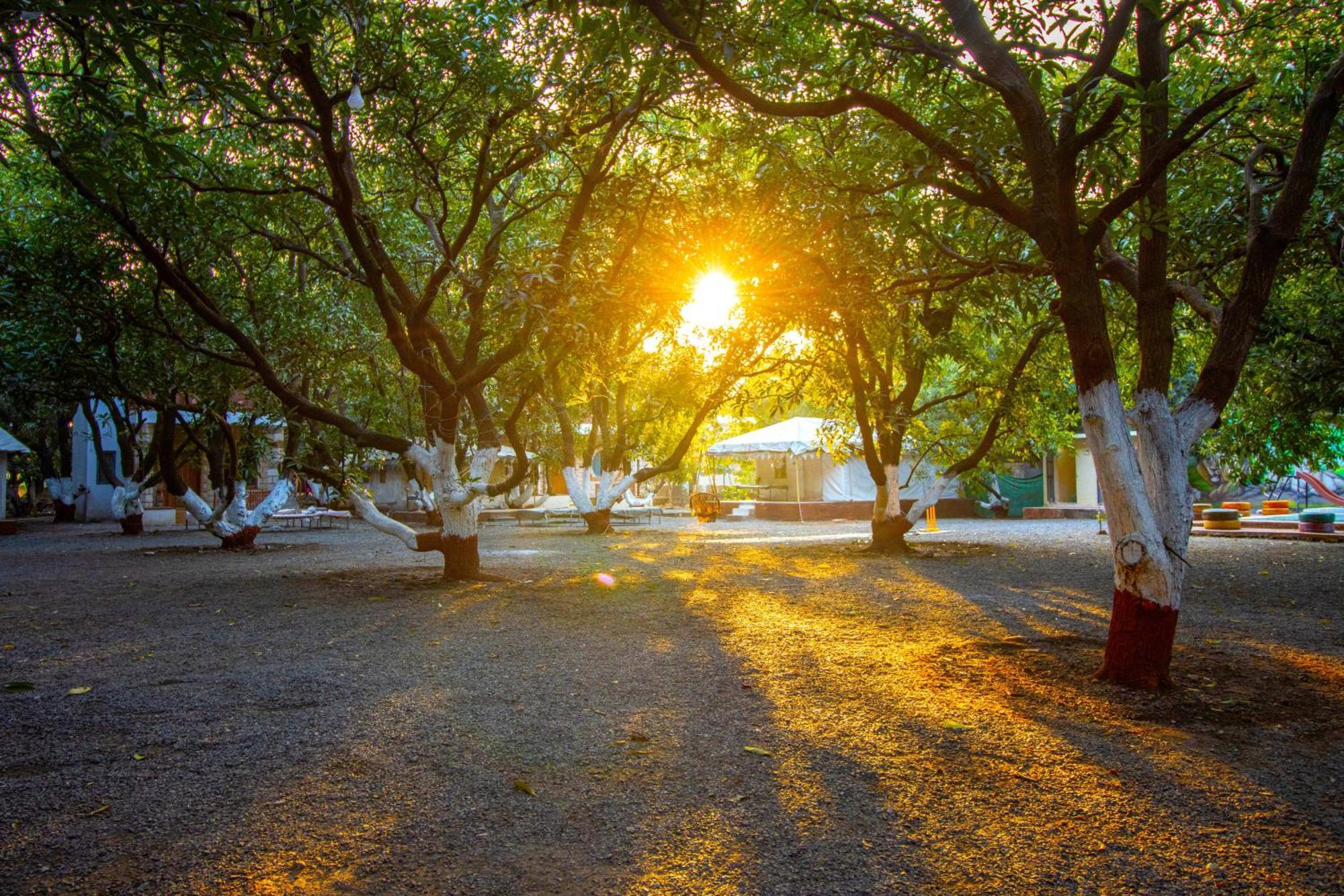 Brook Ville Sasan Gir Zewnętrze zdjęcie