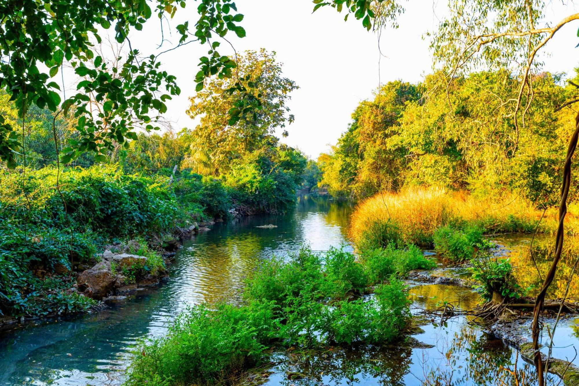 Brook Ville Sasan Gir Zewnętrze zdjęcie