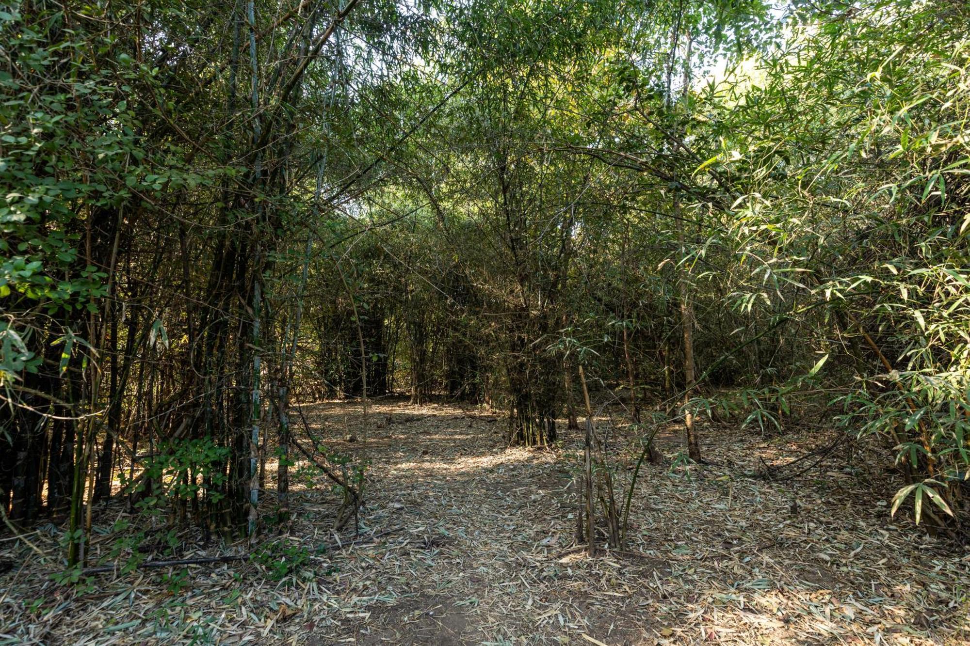 Brook Ville Sasan Gir Zewnętrze zdjęcie